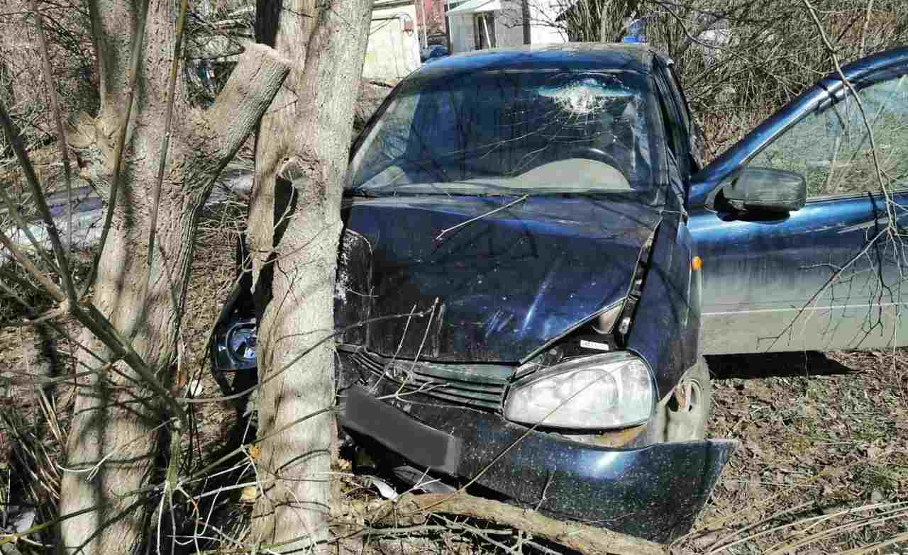 Водитель «Лады Калины», врезавшейся в дерево, погиб в Воронежской области