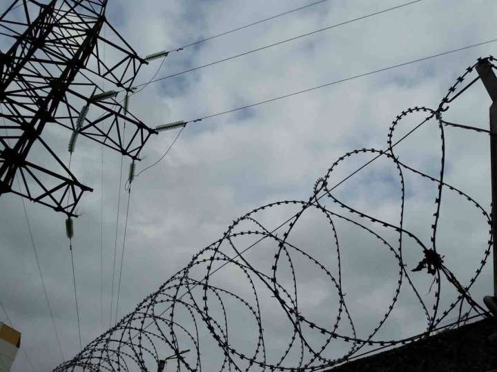 Воронежцы узнали, какой вклад вносят исправительные учреждения в экономику