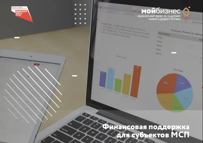 Центр «Мой бизнес» в Воронеже 12 мая проведёт онлайн - тренинг «Финансовая поддержка субъектов МСП»