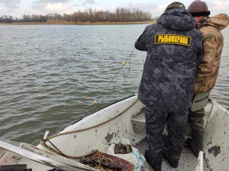 В конце апреля в Воронежской области вступает в силу запрет на ловлю рыбы в связи с нерестом