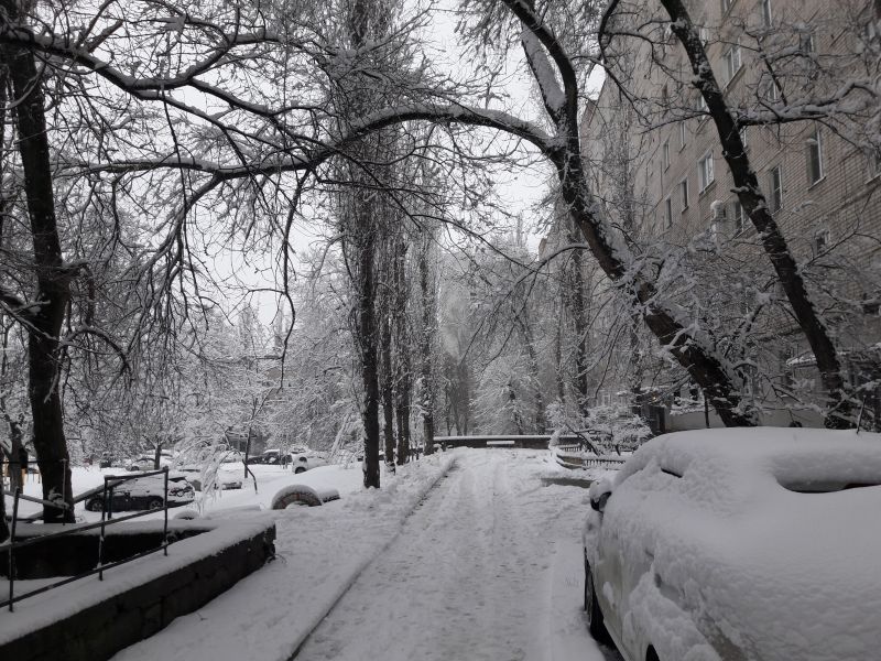 Мартовский снегопад стал самым мощным в 21 веке в Воронежской области