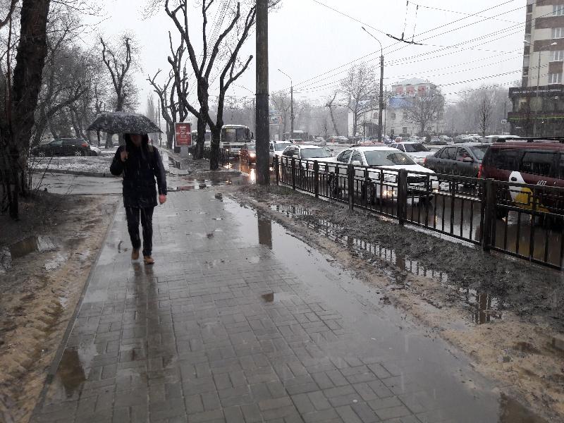 Дождём и мокрым снегом осень попрощается с Воронежской областью