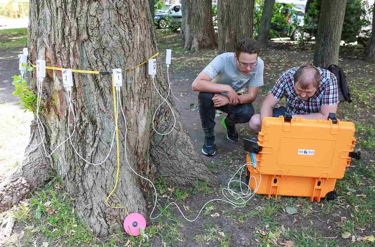 Воронежские экологи получили второй прибор для диагностики состояния деревьев