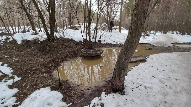 Северный лес в Воронеже залило стоками из-за забитого строительным мусором канализационного колодца