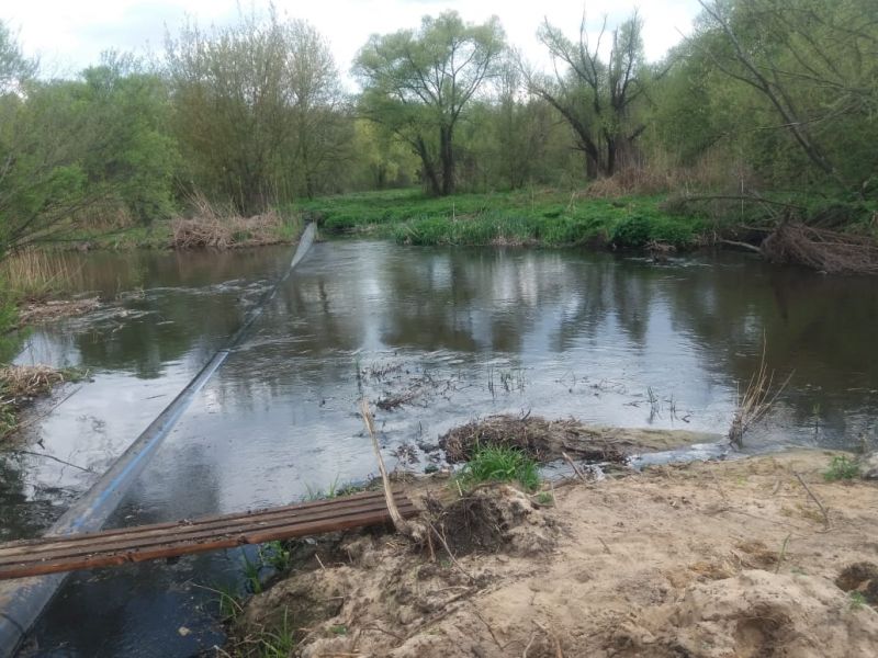 В Воронеже ликвидировали мусорный остров в реке Голубой Дунай
