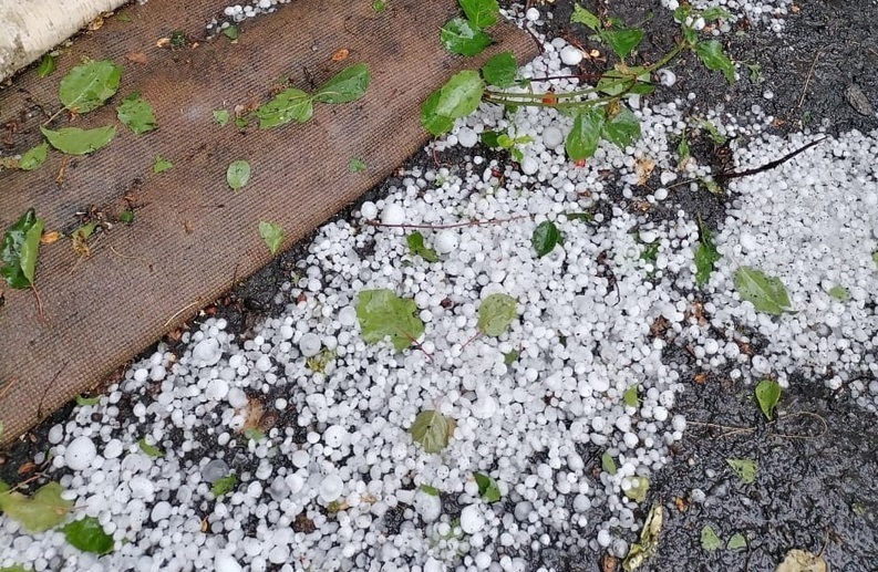 О ливневом дожде с грозой и градом 29 августа предупредили воронежцев синоптики