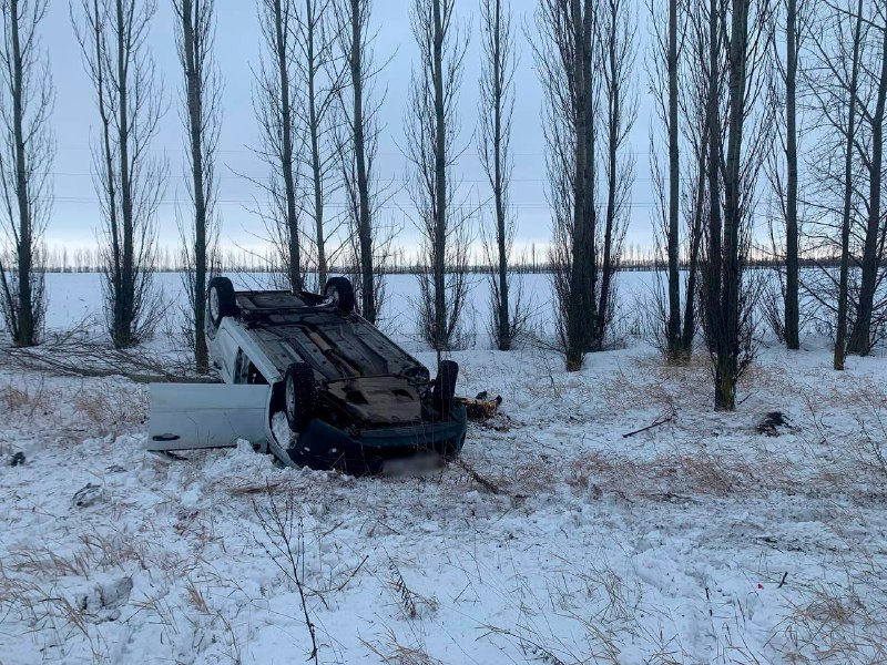 В опрокинувшейся в кювете «Ладе» погибла 42-летняя жительница Воронежской области
