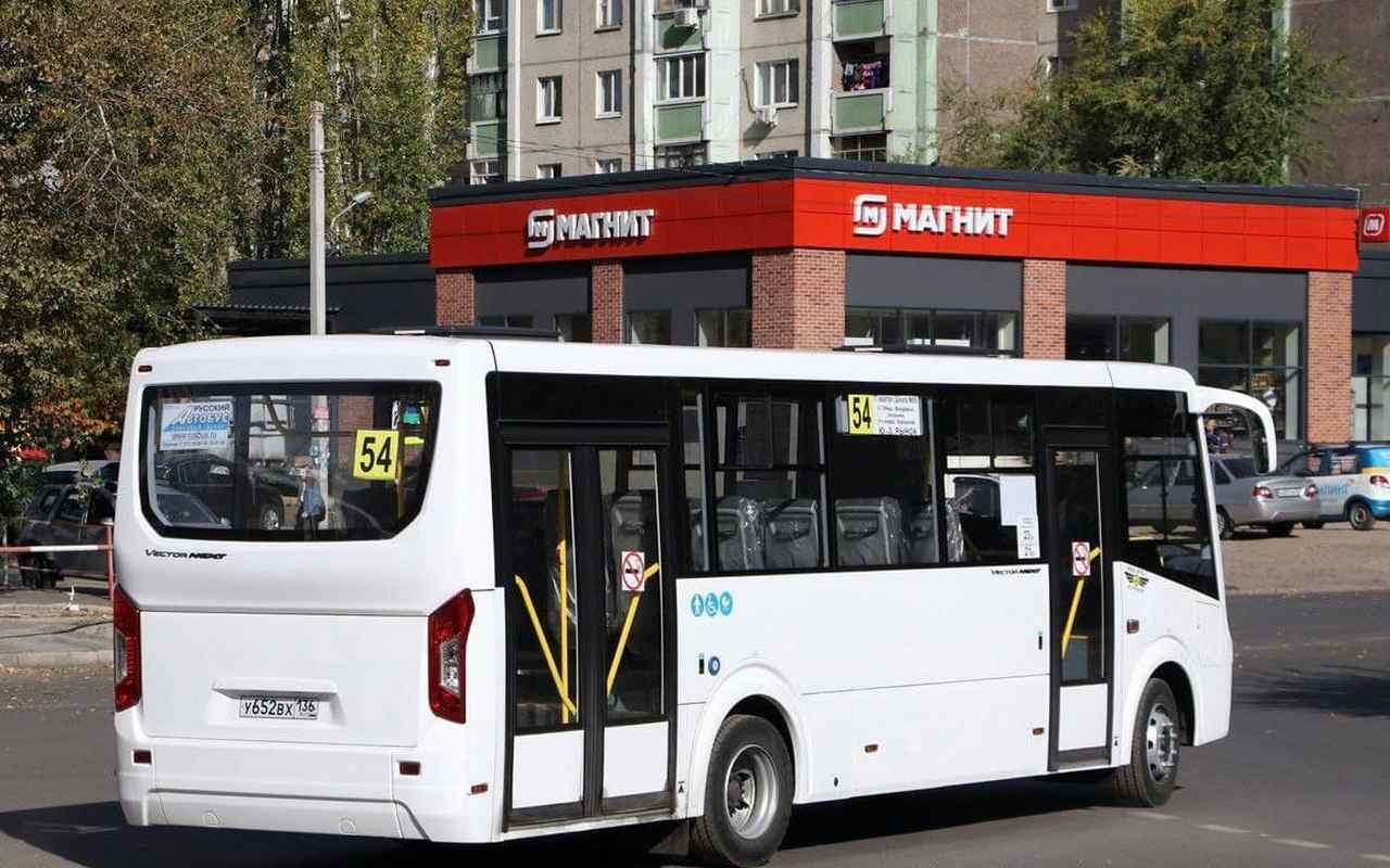 Воронежский перевозчик закупил 18 новых автобусов среднего класса на замену «Газелям»