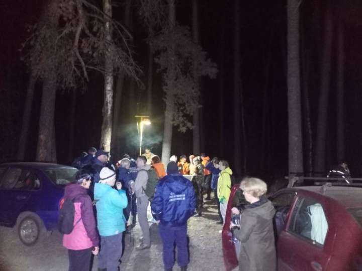 Полиция, спасатели и волонтеры ищут пошедшую за грибами и пропавшую в лесу под Воронежем пенсионерку