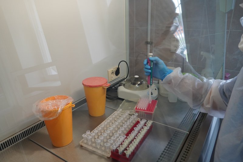 В воронежских поликлиниках заработала СМС-рассылка с результатами тестов на коронавирус