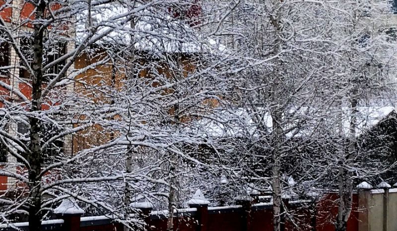 Морозно и сухо будет в начале рабочей недели Воронежской области