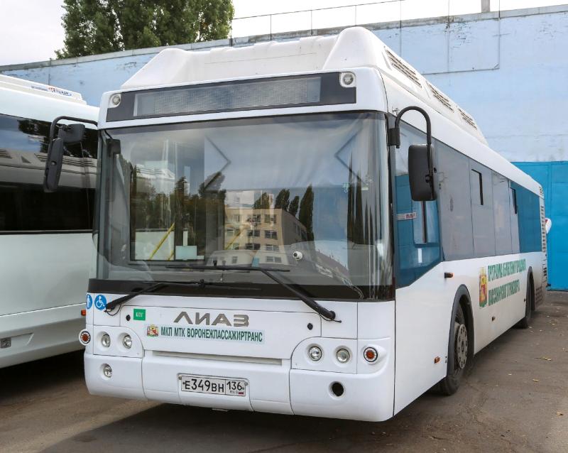 Новые автобусы большой вместимости преобразят общественный транспорт Воронежа