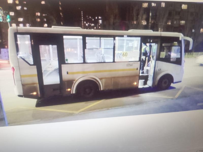 При резком торможении автобуса в Воронеже упала и пострадала пассажирка