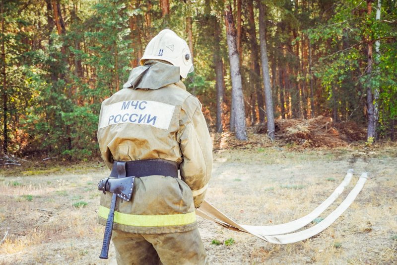 В Воронежской области 17 октября завершился пожароопасный сезон