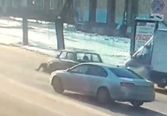 В центре Воронежа водитель ВАЗа сбил девушку на переходе и скрылся с места