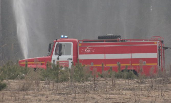 В Воронежской области пожары охватили 511 гектаров леса