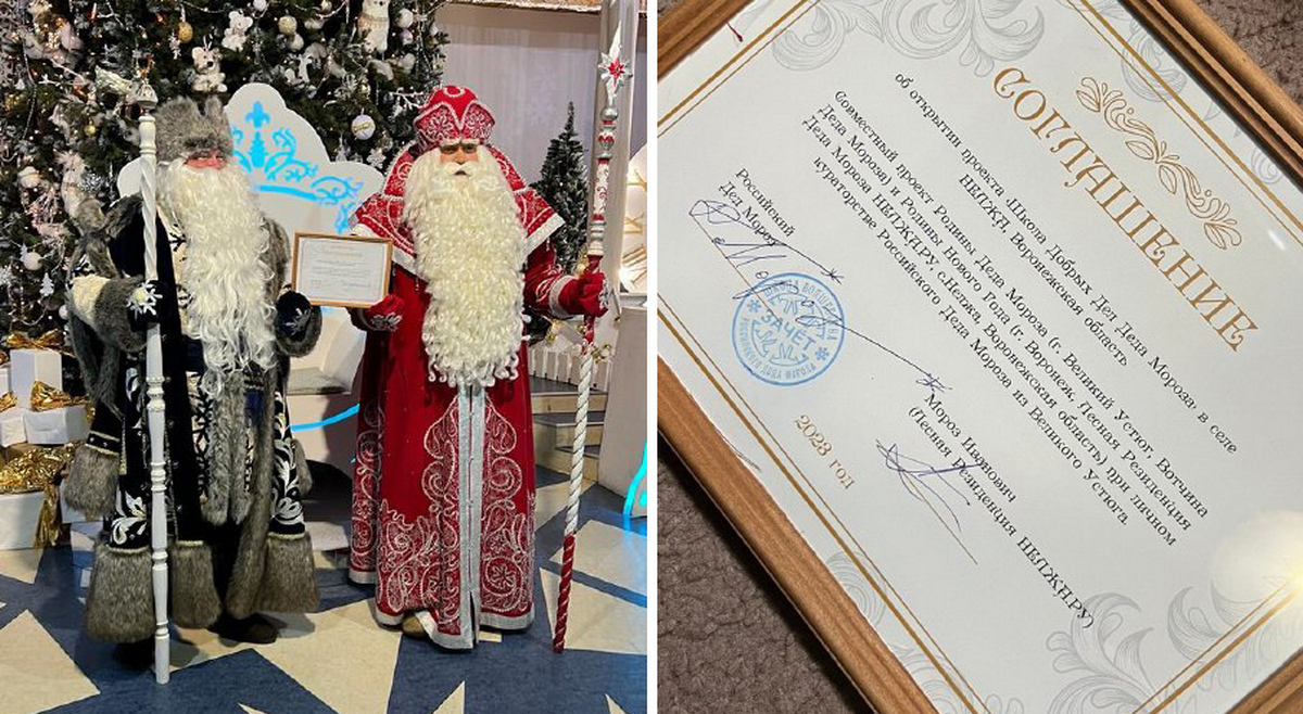  «Школу Добрых Дел Деда Мороза» создадут в Воронежской области