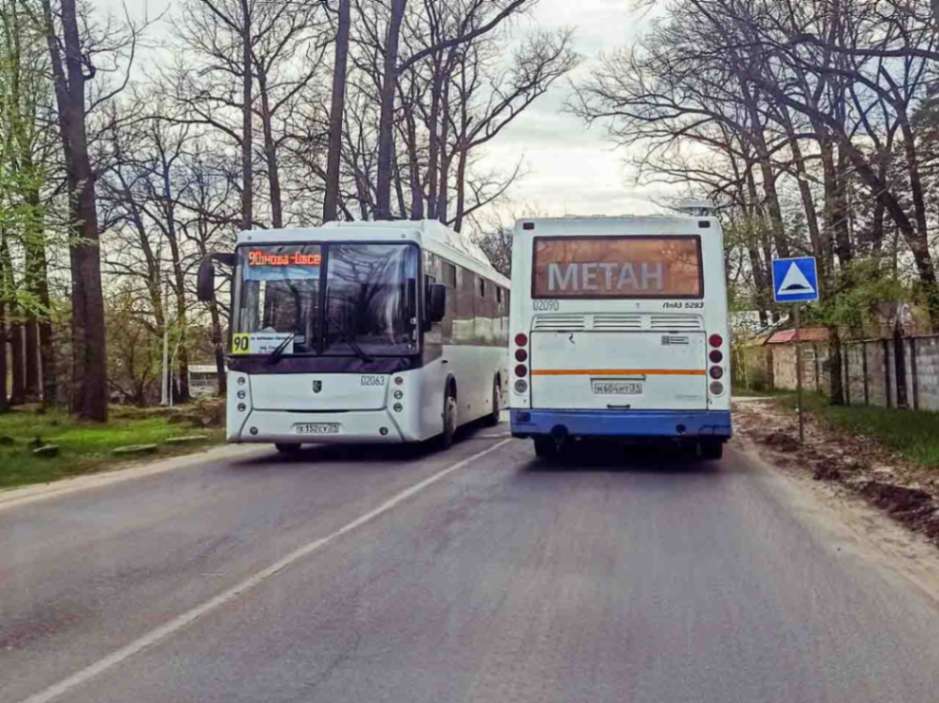Об изменении графика работы автобусных маршрутов предупредили воронежцев