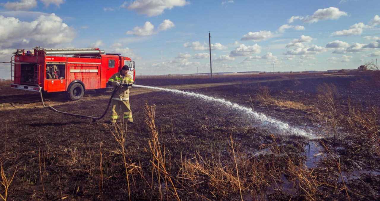 Свыше 1600 случаев выгорания сухой травы зафиксировано в Воронежской области в 2025 году