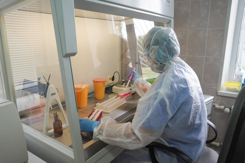 В Воронежской области только за сутки выявили 269 случаев коронавируса