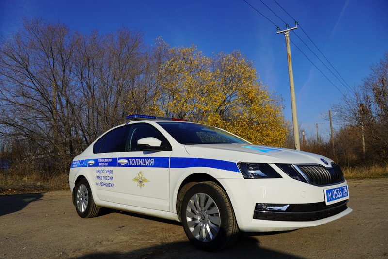 Воронежских водителей предупредили о сплошных проверках ГИБДД в ночь на 20 августа