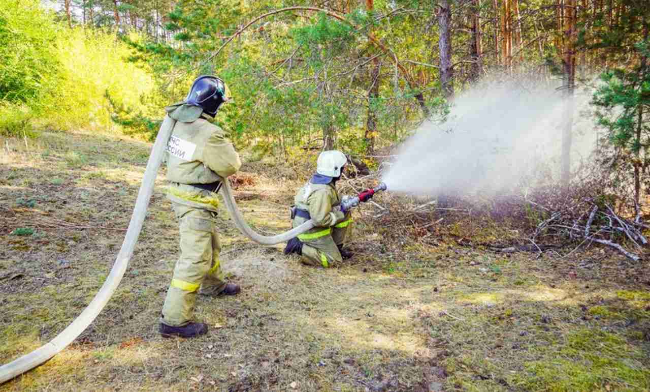В четырёх районах Воронежской области отмечен 5-й класс пожарной опасности