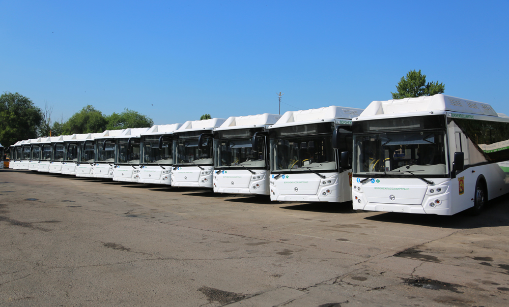 В Воронежской области для районов и городских округов закупят более 220 новых автобусов