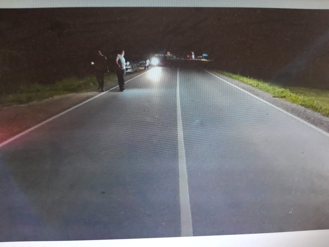 В Воронежской области водитель скрылся с места ДТП, сбив пешехода насмерть