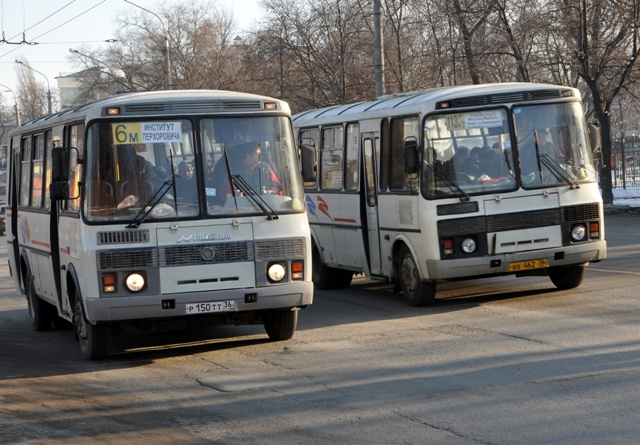 Из-за резкого торможения автобуса в Воронеже упала пенсионерка