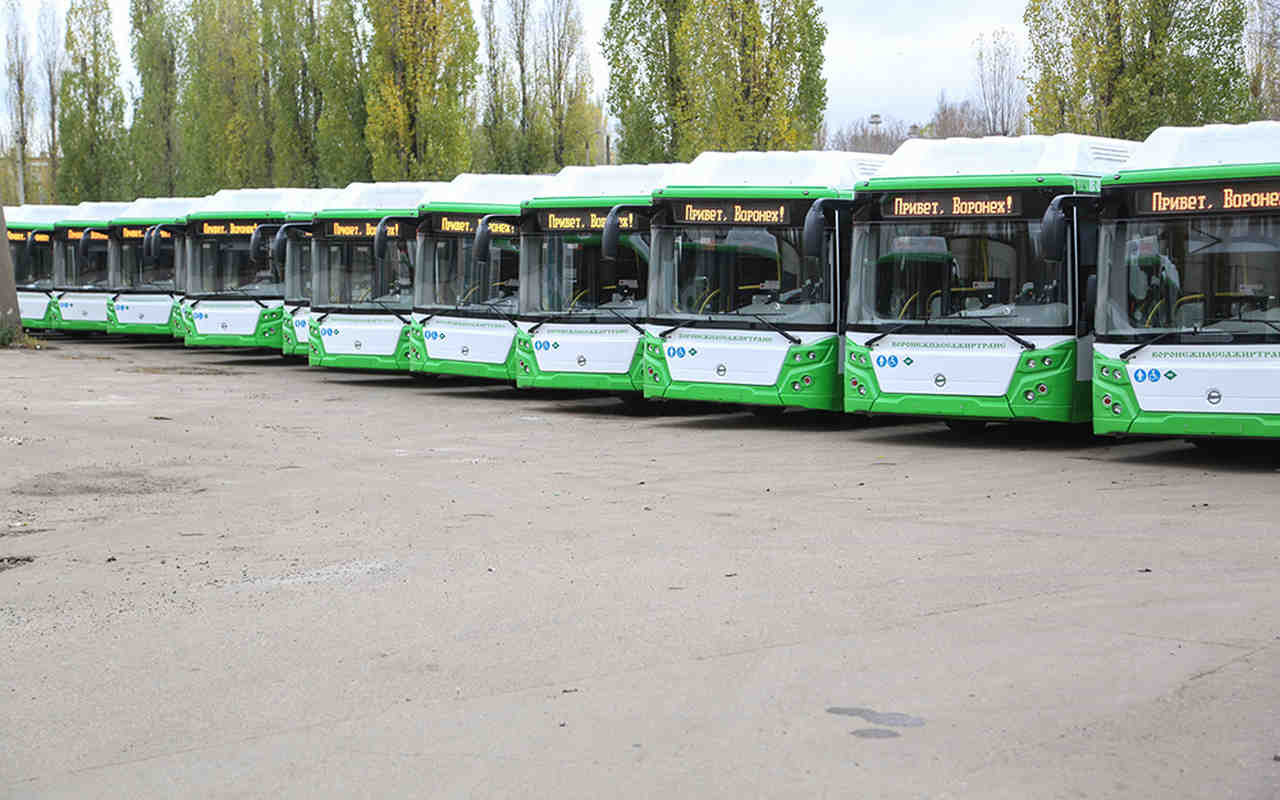 Три новых автобусных маршрута появятся в Воронеже