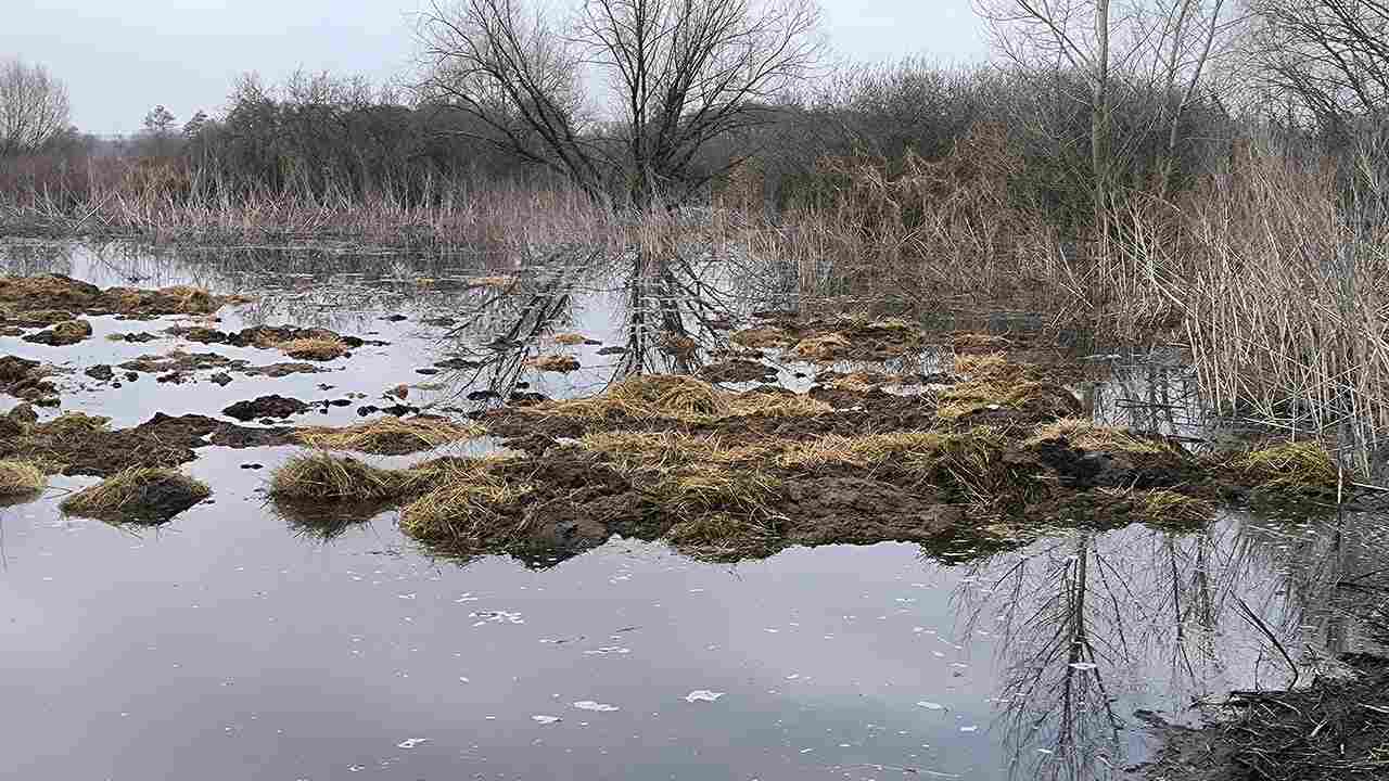 Воронежские следователи проверят факт сброса отходов в реку Икорец