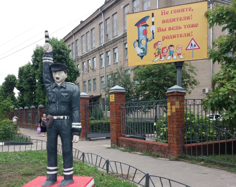 В Коминтерновском районе Воронежа проинспектировали пешеходные переходы
