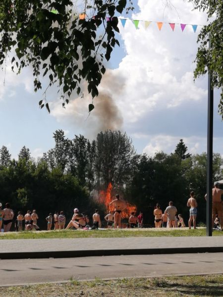 Рядом с популярным пляжем под Воронежем произошел сильный пожар