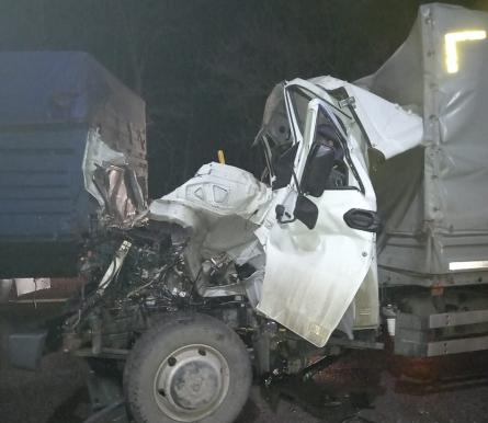 Два человека погибли в ночном столкновении трех грузовиков под Воронежем 