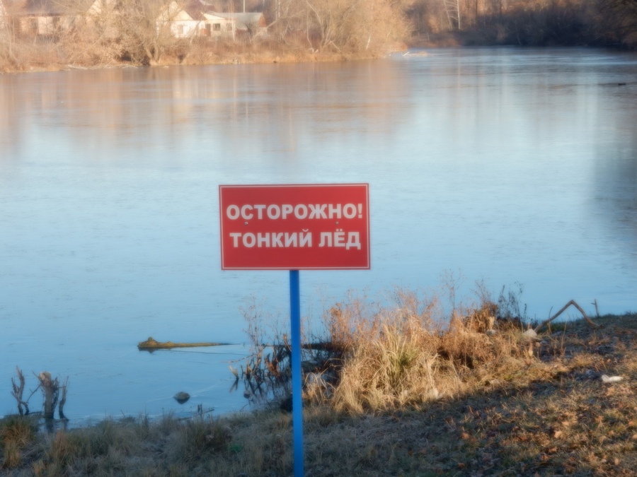 В Воронежской области стартовал месячник безопасности на водных объектах