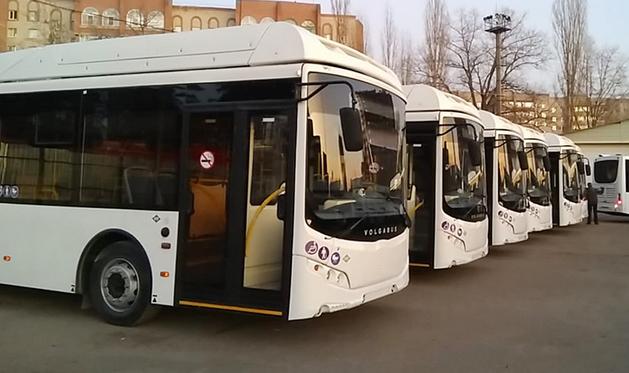 Еще 20 новых современных автобусов большого класса прибыли в Воронеж