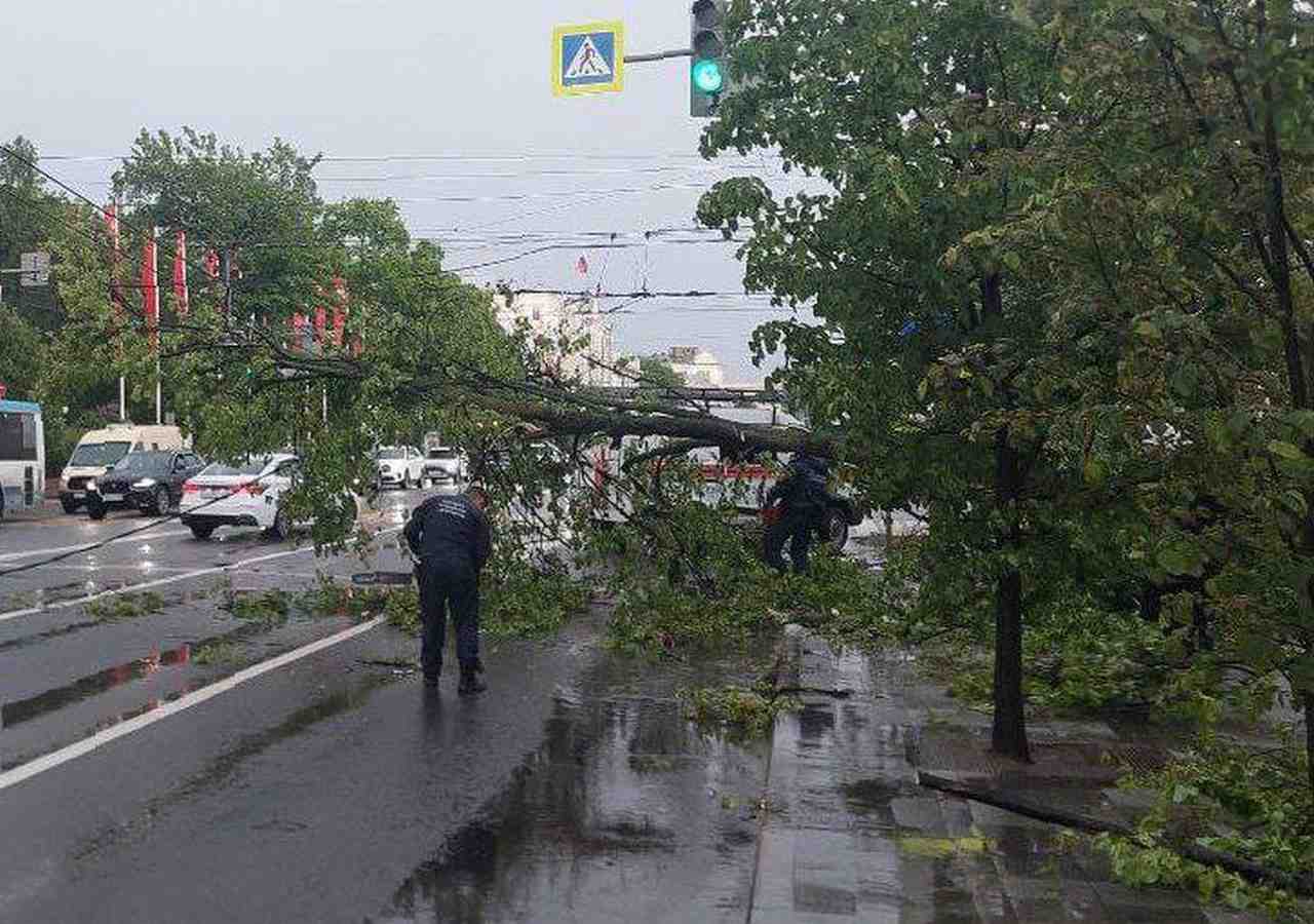 Ураган и дождь стали причинами ДТП и пробок на улицах Воронежа | Горком36  новости Воронеж