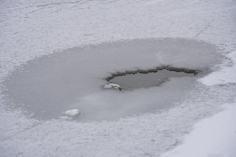 Провалившийся в Воронежской области в первый день зимы под лёд рыбак скончался