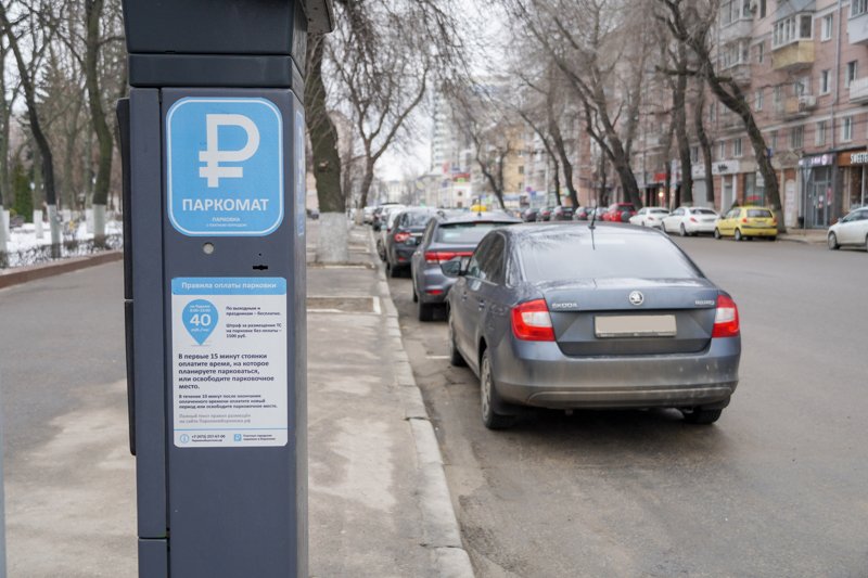 За плохое санитарное состояние платных парковок в Воронеже суд оштрафовал концессионера