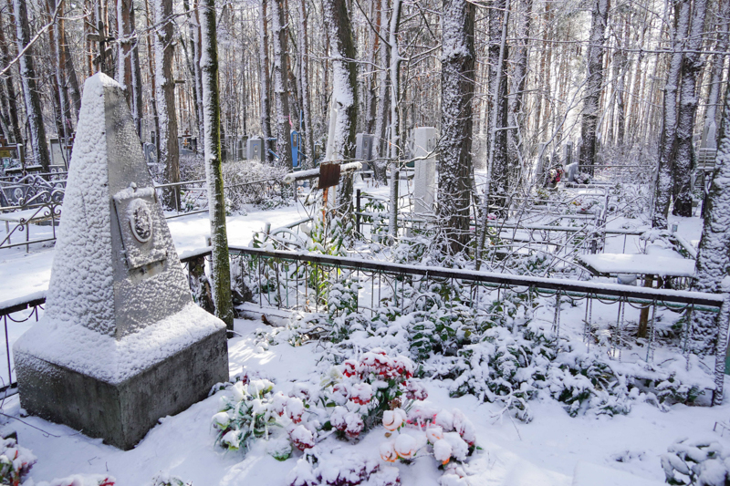 Подозреваемого во взятке 500 тыс. рублей главу кладбищ Воронежа оставили на свободе