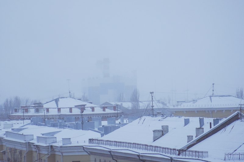 Желтый уровень опасности до 16 декабря продлили в Воронежской области из-за тумана и сильного ветра