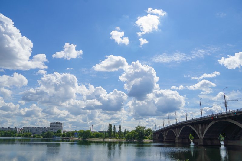 Предельно жаркая погода установится в Воронежской области на рабочей неделе