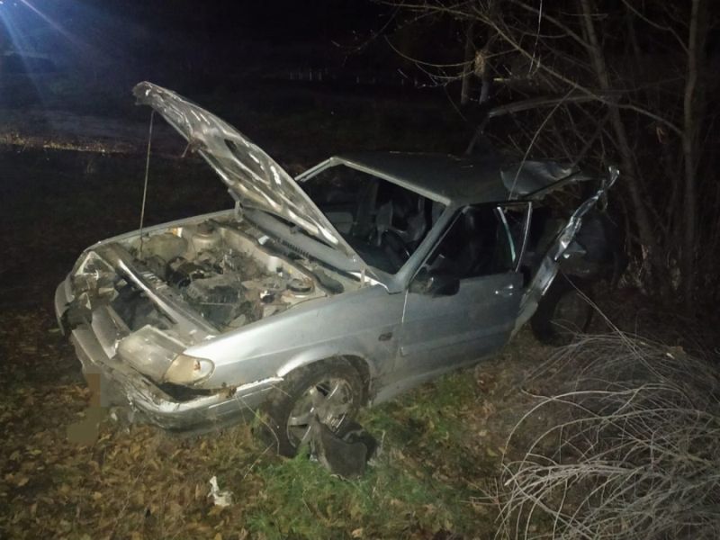 В Воронежской области в аварии погибли 3 человека