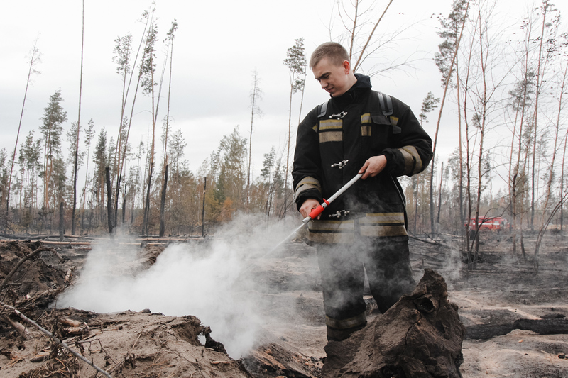Самый крупный пожар в Воронежской области локализован