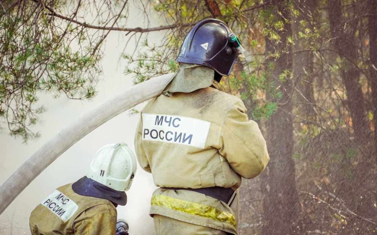 50 камер проследят за пожарной обстановкой в лесах Воронежской области