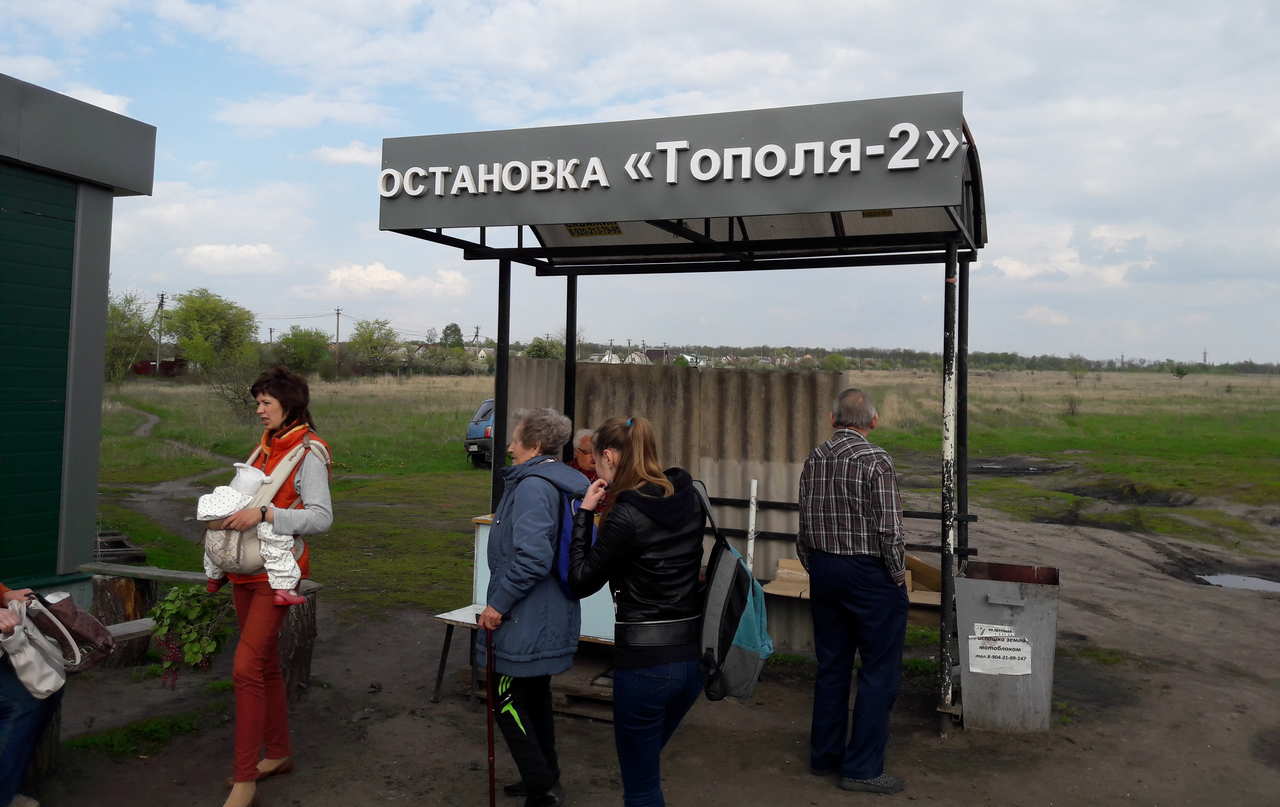 Работу сезонных маршрутов возобновляют в Воронеже