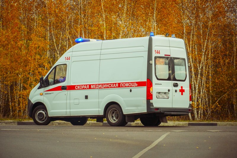 Женщина за рулём «Ситроена» врезалась в дерево в Воронежской области