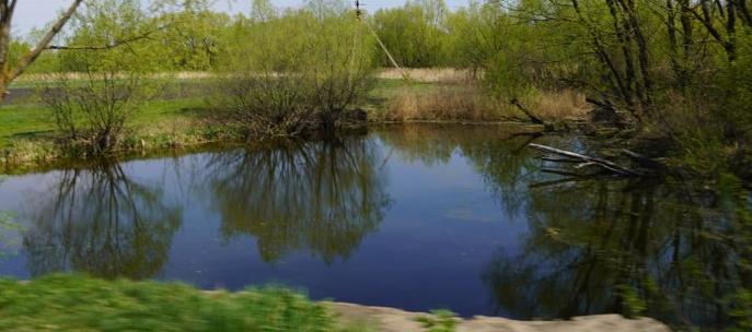 На расчистку воронежских рек направили 90 млн рублей в 2022 году