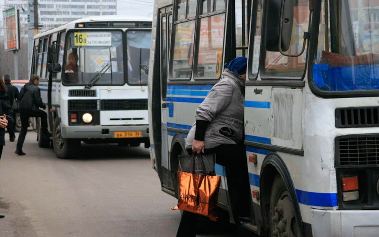 Схема движения 2 автобусных маршрутов временно изменится в Воронеже