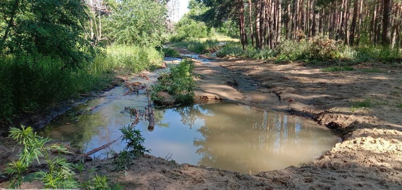 Выход воды на территории Северного леса в Воронеже остановили